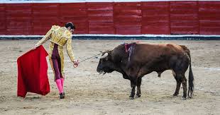 Decreto publicado: CDMX elimina corridas de toros con violencia