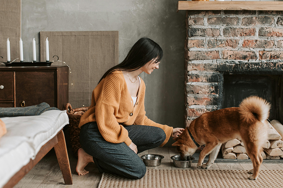 ¿Cómo fortalecer el vínculo con tu mascota? Más allá del cariño, un acto consciente