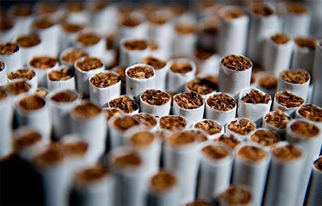 Guadalajara, Monterrey y Mérida, las ciudades con mayor cigarro ilícito en México: IPN