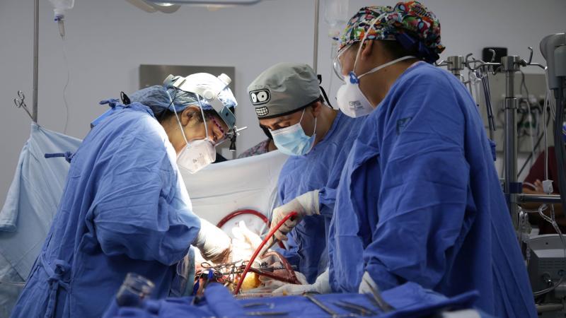 Mayoría de trasplantes de órganos se realizan en hospitales públicos: Ssa