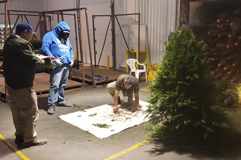 Hallan en terreno baldío en Michoacán el cilindro con gas cloro por el que se emitió alerta en seis estados