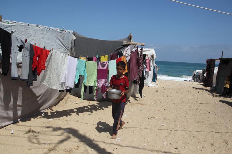 (Multimedia) Israel acepta reapertura condicionada y limitada de cruce de Rafah