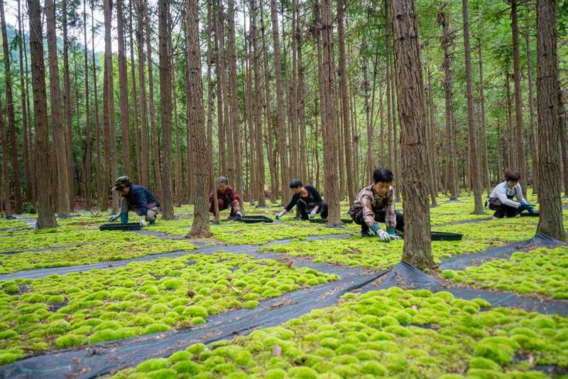 (Multimedia) Vicepremier chino pide esfuerzos para consolidar logros en alivio de pobreza