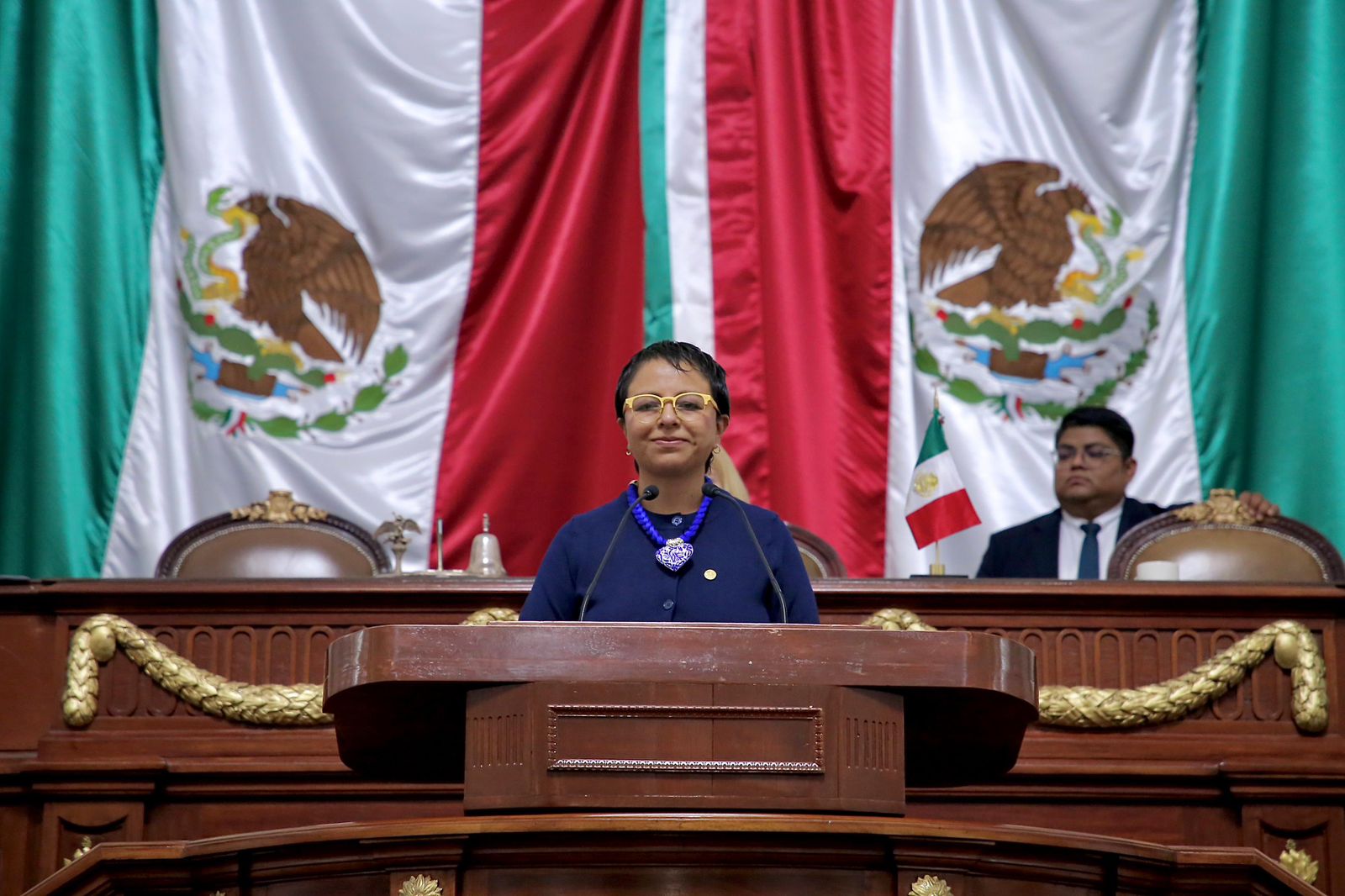 Liz Salgado impulsa reforma para garantizar mantenimiento permanente de cámaras