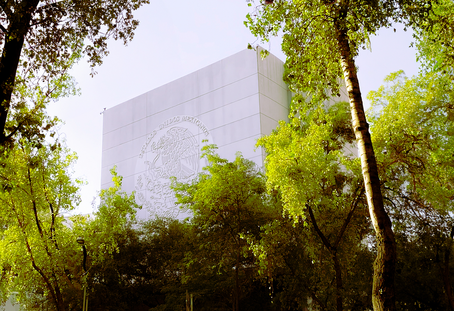 Reyes Carmona respalda visión soberana y de cooperación internacional de la presidenta Claudia Sheinbaum